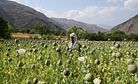 Afghanistan’s Opium Trade: A Free Market of Racketeers